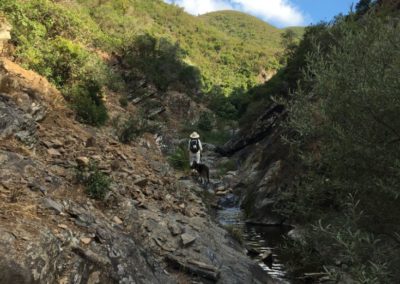 Ribeira do Penedo 3